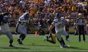 Steelers Snap Counts