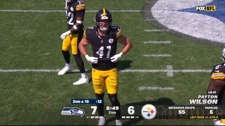 Payton Wilson Steelers defense