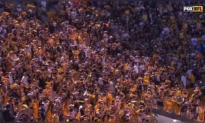Steelers Renegade Seahawks