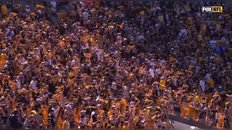 Steelers fans Ireland