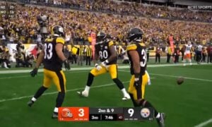 Connor Heyward Steelers TD
