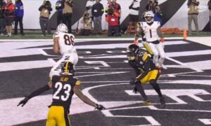 Positional Grades Steelers Bengals