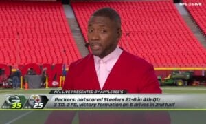 Ryan Clark Steelers defense