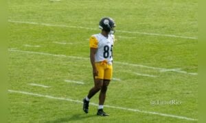 Ke'Shawn Williams October 11 Steelers