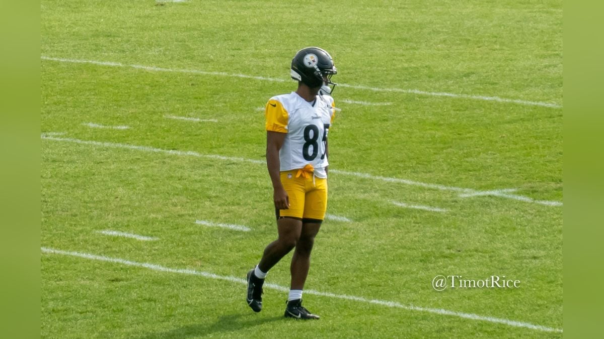 Ke'Shawn Williams October 11 Steelers