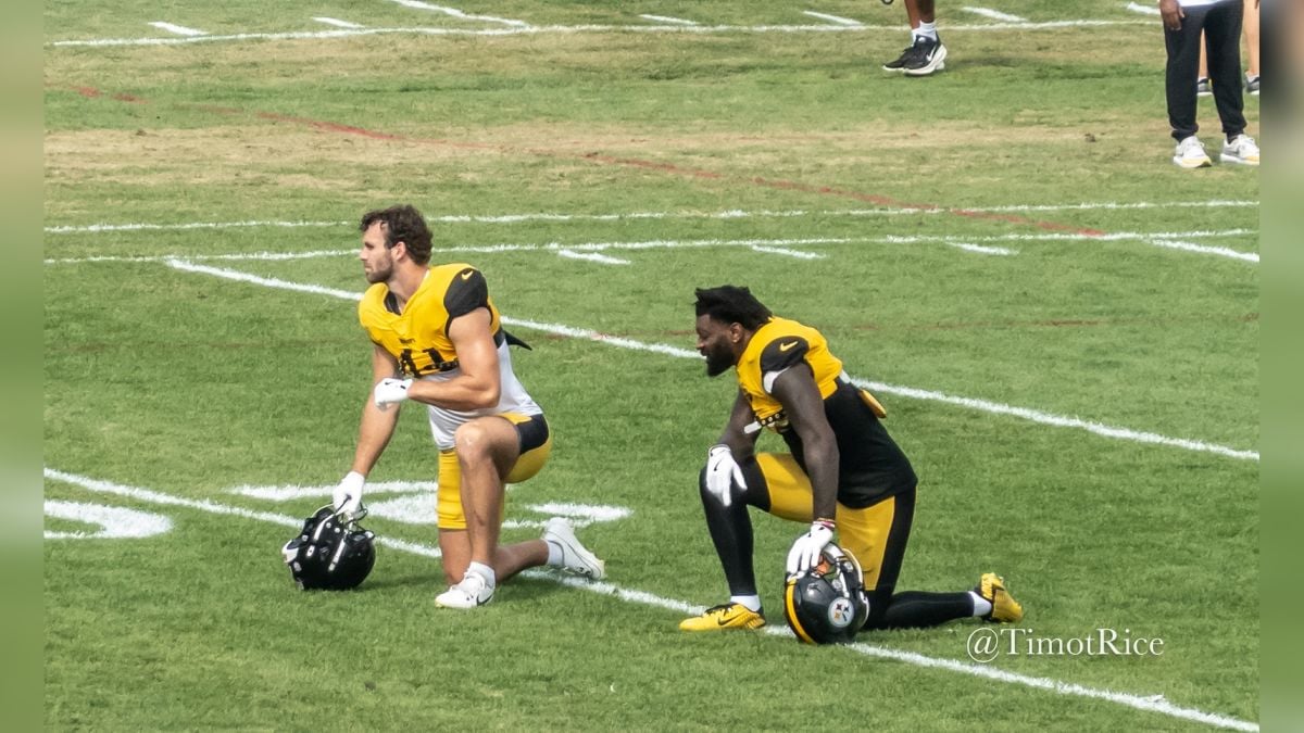 Steelers dime Pittsburgh defense Payton Wilson Patrick Queen